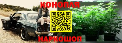 эйфоретик Ливны