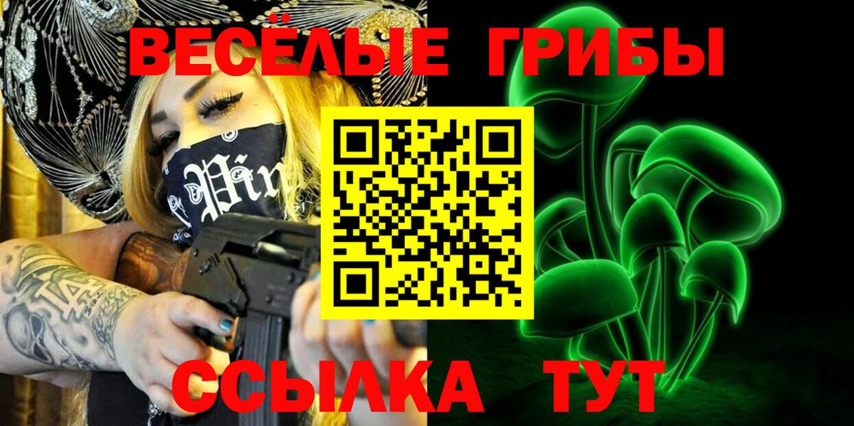 Каменка  даркнет сайт  Вход с VPN  Псилоцибиновые грибы Psilocybine cubensis 