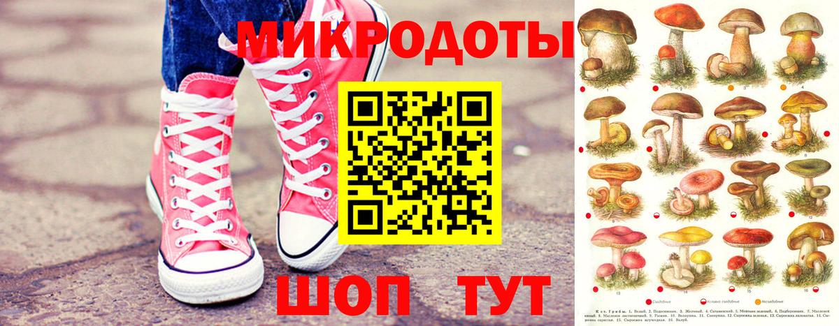 Псилоцибиновые грибы мицелий Каменка