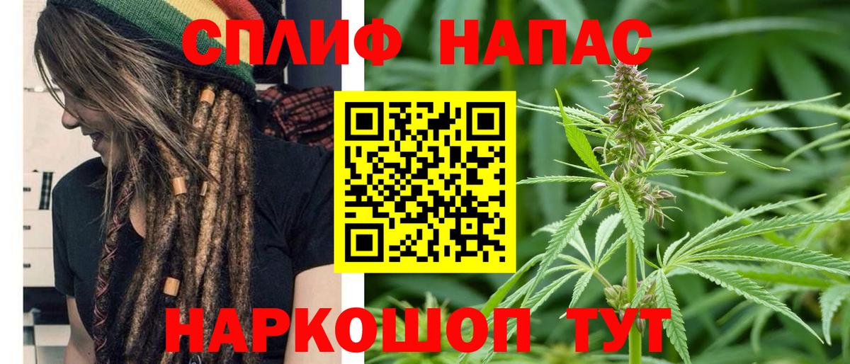 Марихуана конопля  Бошки марихуана тримм  Каменка  Вход с VPN  Канабис сатива  Конопля семена 